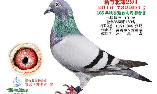 利乐包纯牛奶是什么意思-利乐包牛奶 营养网- 利乐包牛奶 营养价值高吗知识,分享利乐包牛奶 营养怎么样
